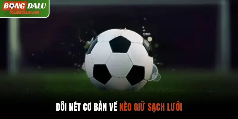 Đôi nét cơ bản về kèo giữ sạch lưới