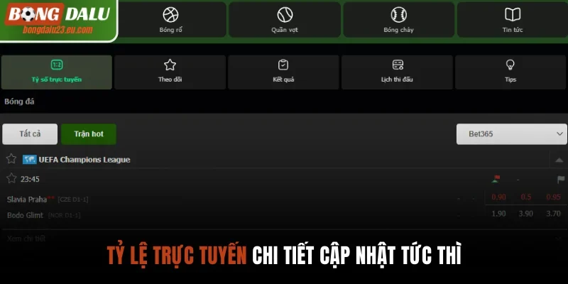 Tỷ lệ trực tuyến chi tiết cập nhật tức thì