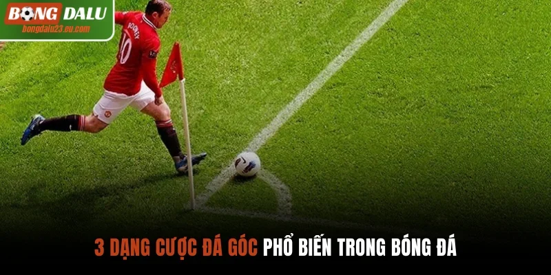 3 dạng cược đá góc phổ biến trong bóng đá