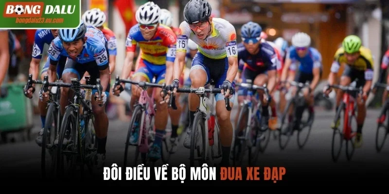 Đôi điều về bộ môn đua xe đạp