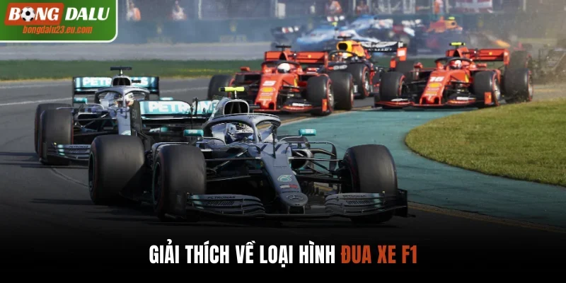 Giải thích về loại hình đua xe F1