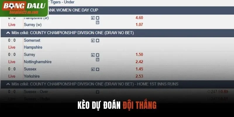 Kèo dự đoán đội thắng