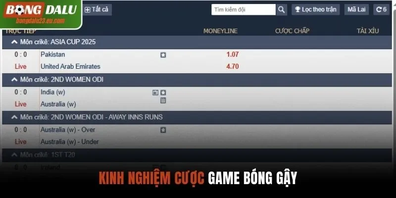 Kinh nghiệm cược game bóng gậy đỉnh cao