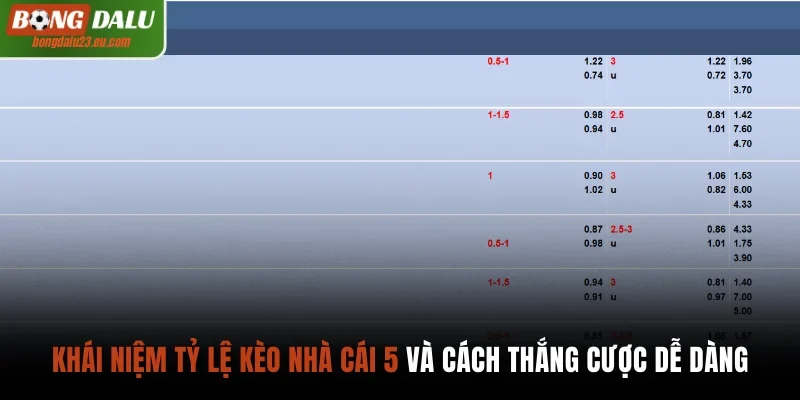 Tỷ lệ kèo nhà cái 5