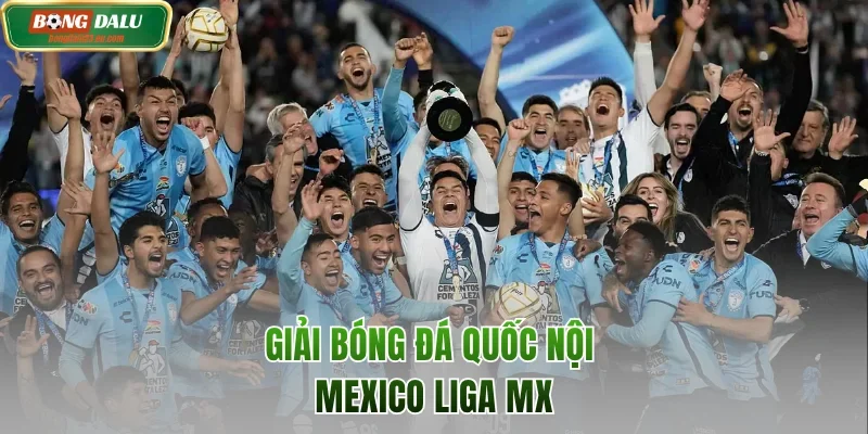 Giải bóng đá Mexico Liga MX